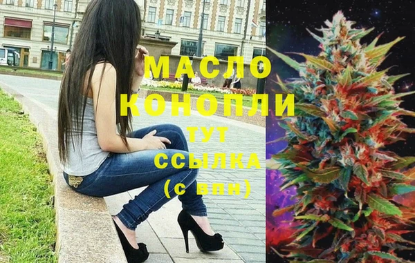 скорость Гусев