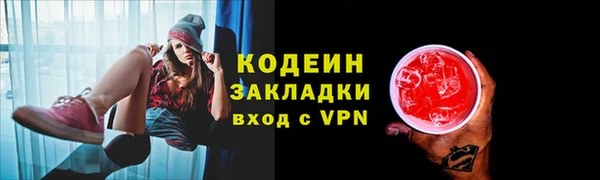 скорость Гусев