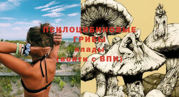 мдпв Горняк