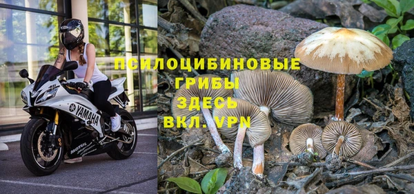 синтетический гашиш Горнозаводск