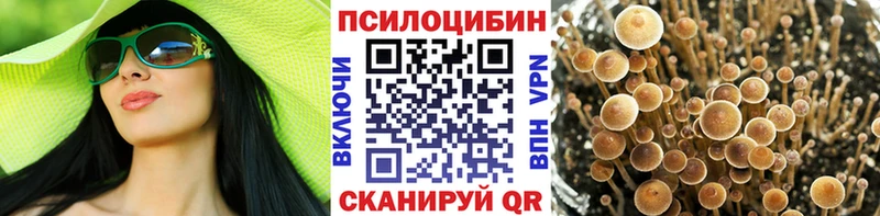 Галлюциногенные грибы GOLDEN TEACHER  Ачхой-Мартан 
